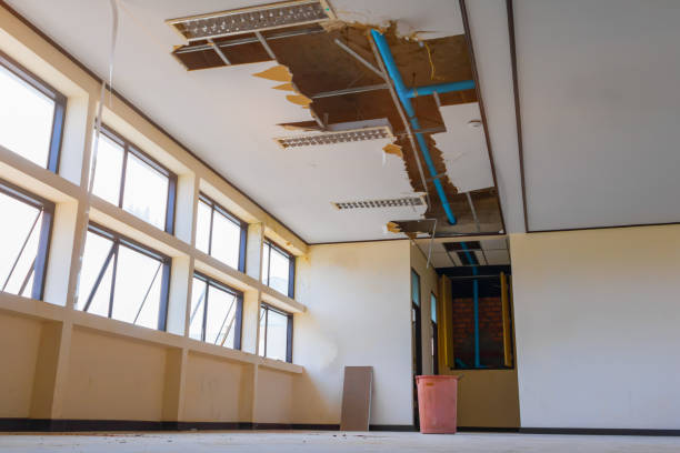 Best Basement water damage restoration  in Greene, RI