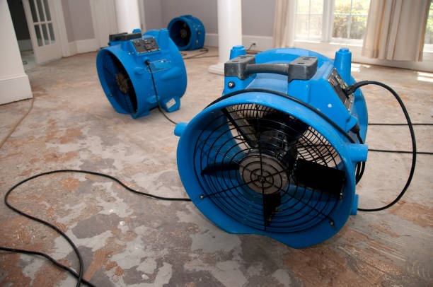 Best Emergency water damage restoration  in Greene, RI
