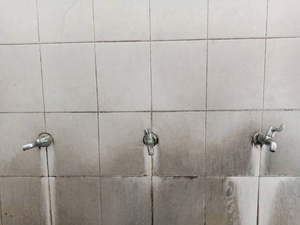 Best Local water damage restoration  in Greene, RI